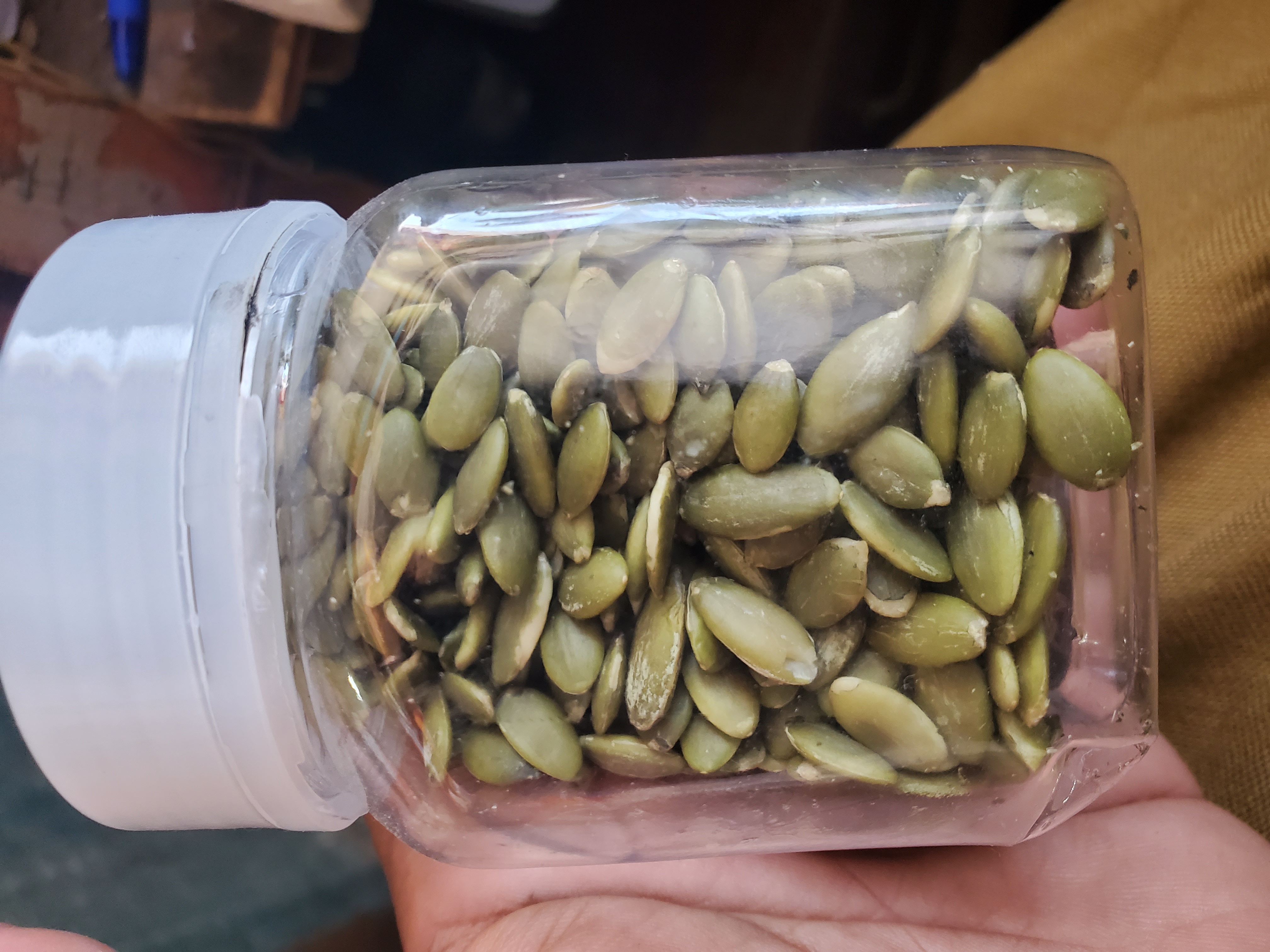 بذور اليقطين
